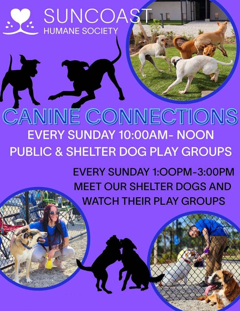 event flyer, see event page for details