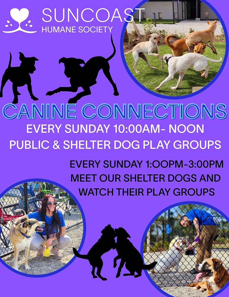 event flyer, see event page for details